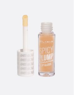 ELIXIR SPICY PLUMP LIPGLOSS - 400 | ΑΡΩΜΑ ΟΝΕΙΡΟΥ 2