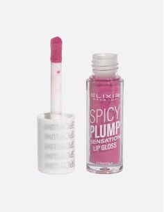 ELIXIR SPICY PLUMP LIPGLOSS - 401 | ΑΡΩΜΑ ΟΝΕΙΡΟΥ 2