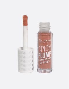 ELIXIR SPICY PLUMP LIPGLOSS - 402 | ΑΡΩΜΑ ΟΝΕΙΡΟΥ 2