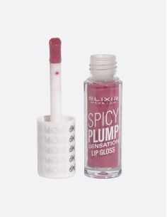ELIXIR SPICY PLUMP LIPGLOSS - 403 | ΑΡΩΜΑ ΟΝΕΙΡΟΥ 2