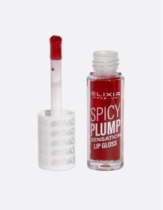 ELIXIR SPICY PLUMP LIPGLOSS - 404 | ΑΡΩΜΑ ΟΝΕΙΡΟΥ 2